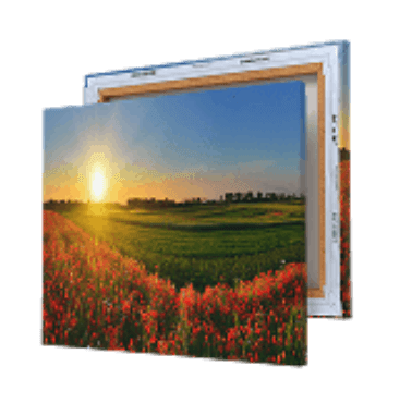 Metal Prints
